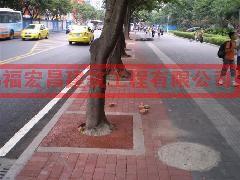 彩色壓印地坪透水樹(shù)池圖片