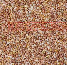 供應(yīng)批發(fā)膠筑石膠粘石地坪南充透水壓花