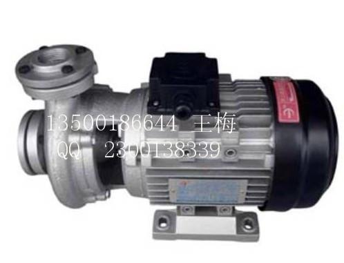 供應(yīng)木川牌TS-71高溫油泵