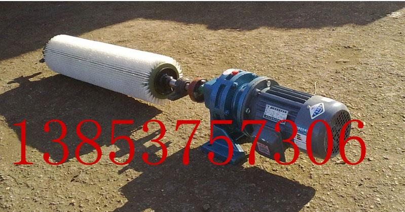 供應(yīng)AY-XQ-Ⅱ被動滾刷清掃器滾刷清掃器