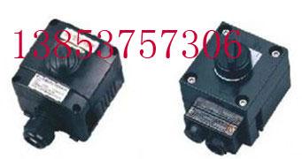 供應(yīng)現(xiàn)貨供應(yīng)防爆聲光報(bào)*防爆閃光報(bào)