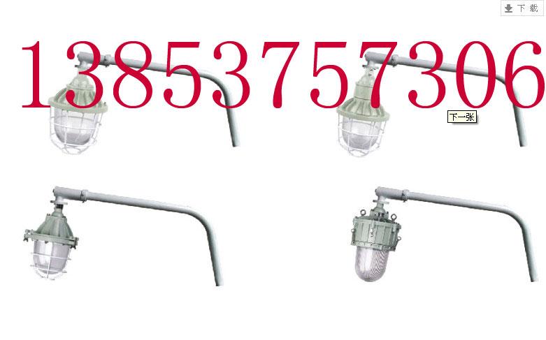 供應(yīng)現(xiàn)貨供應(yīng)防爆聲光報(bào)*防爆閃光報(bào)