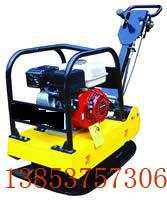 雙向振動(dòng)平板夯PB-30平板夯圖片