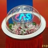 啟動球圖片/啟動球樣板圖 (2)