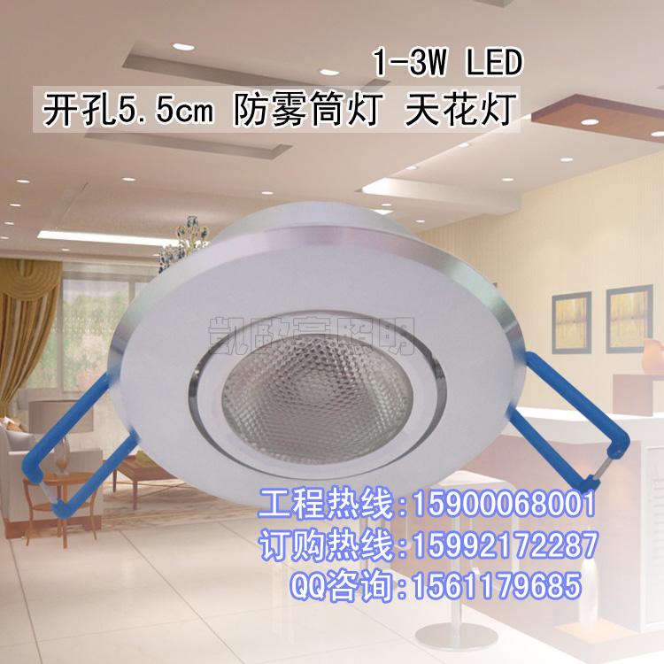 1W3W大透镜LED天花灯图片