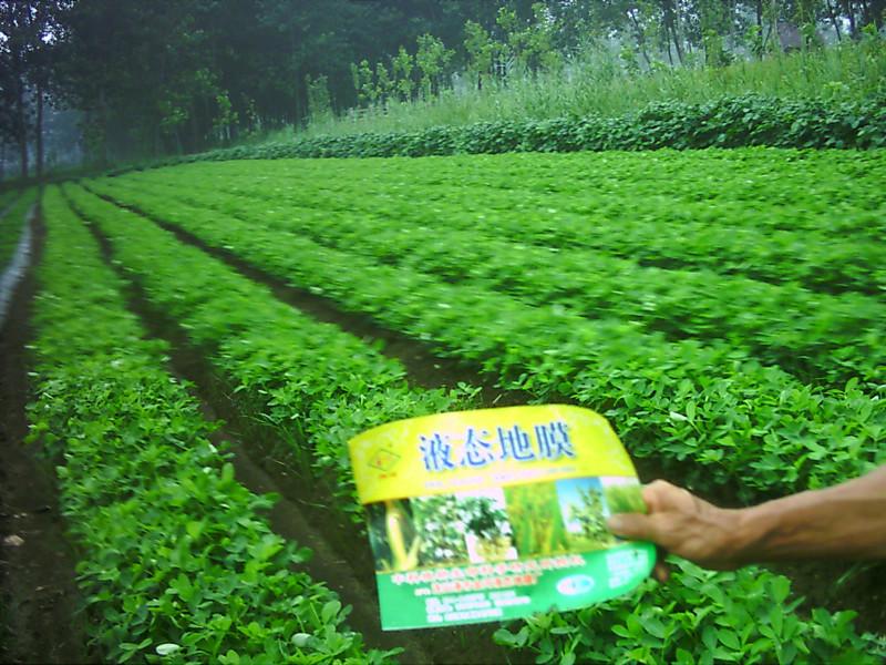 供應(yīng)連云港金河液態(tài)地膜13382945120