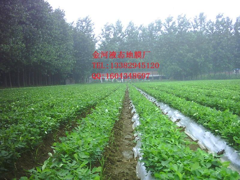 液態(tài)地膜生物降解膜15266639099圖片