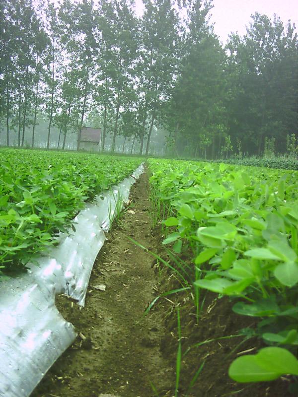 供應(yīng)尋求區(qū)域代理液態(tài)地膜15266639099