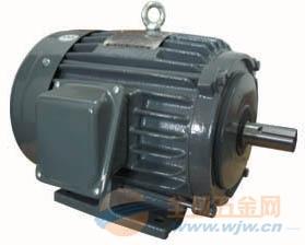 三相普通異步電機臺灣富田圖片