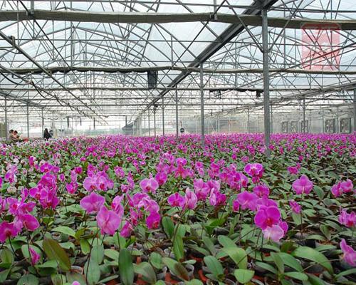 大棚鋼管鍍塑機大棚骨架機圖片