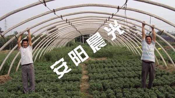 供應(yīng)大棚骨架機(jī)價(jià)格