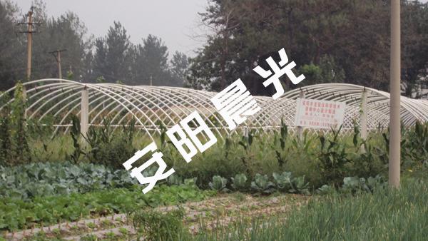 供應(yīng)大棚機(jī)器