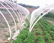 供應(yīng)高科技溫室大棚蔬菜大棚鋼管鍍塑大