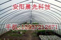 供應(yīng)多功能溫室蔬菜大棚骨架機(jī)安陽晨光