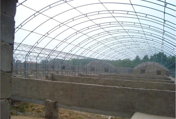 晨光鋼管鍍塑大棚骨架塑料大棚圖片