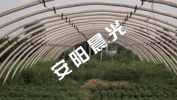 供應(yīng)大棚骨架機(jī)價(jià)格