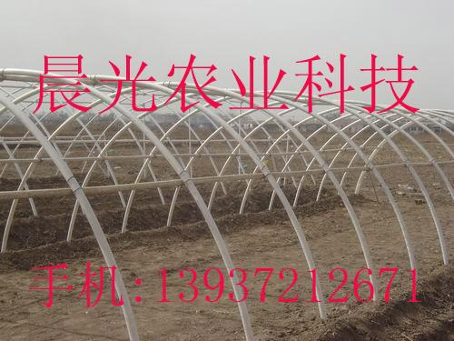 晨光大棚骨架圖片