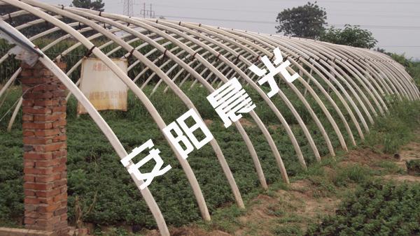 供應(yīng)大棚機(jī)器