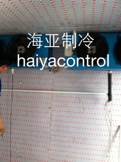 海南冷庫工程圖片/海南冷庫工程樣板圖 (4)