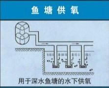 南通三葉羅茨風機廠家圖片