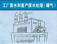 供應(yīng)不銹鋼羅茨鼓風(fēng)機(jī)供應(yīng)