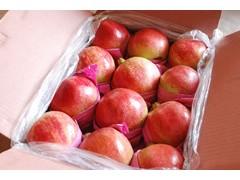 山東石榴批發(fā)