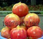 石榴供應批發(fā)圖片