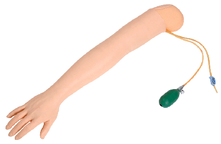 動脈穿刺手臂模型圖片