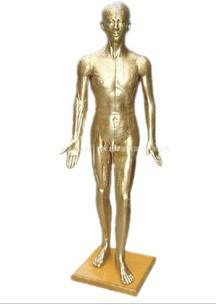 供應盲人針灸模型