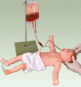 供應(yīng)嬰兒全身靜脈穿刺模型型號(hào)：HL037