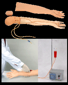 全功能靜脈穿刺輸液手臂模型圖片