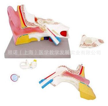 供應(yīng)耳模型