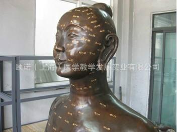 供應(yīng)銅人針灸模型