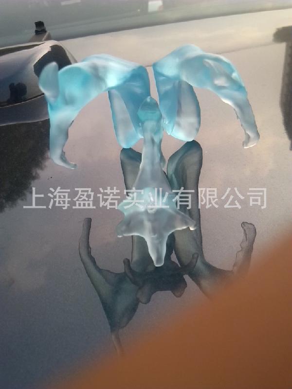 供應(yīng)*腦室解剖模型