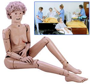 供應(yīng)全功能老年護(hù)理人(男女可選)型號(hào)：HL056