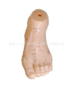 供應(yīng)足針灸模型