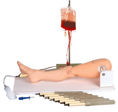 骨穿刺及股靜脈模型圖片