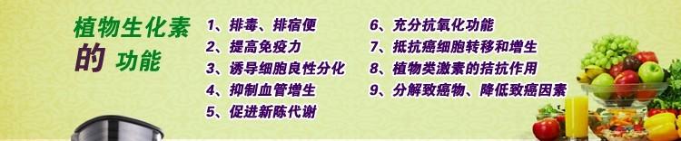 供應(yīng)電動多功能食物攪拌機