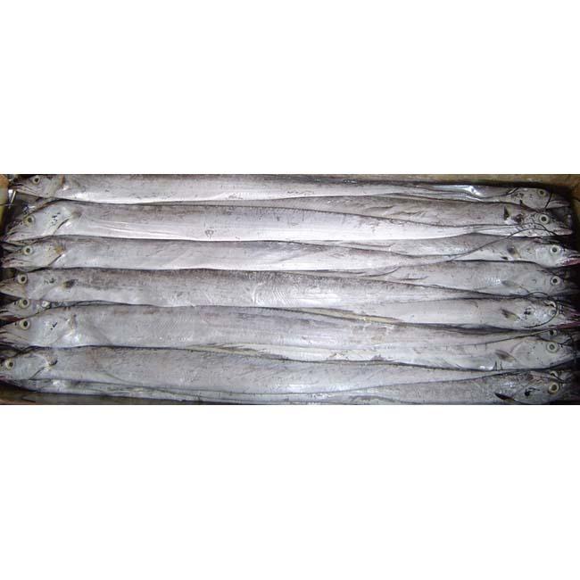 供應(yīng)進口冷凍水副產(chǎn)品魷魚 鱈魚 帶魚