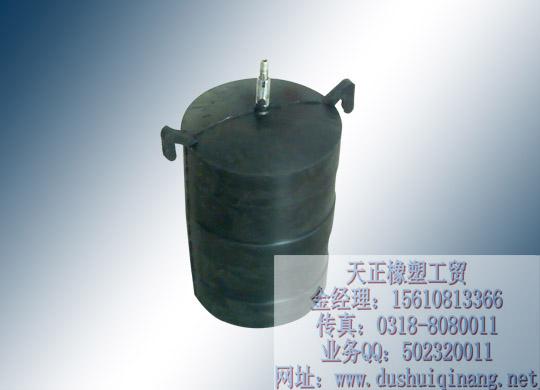 供應(yīng)天正堵水氣囊滴水不漏