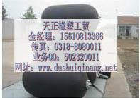 重慶市DN50-2400MM管道封堵氣囊圖片