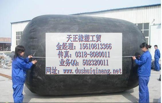 供應浙江金華閉水試驗氣囊