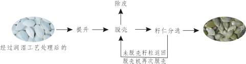 供應(yīng)專業(yè)加工各類瓜子剝殼取仁設(shè)備