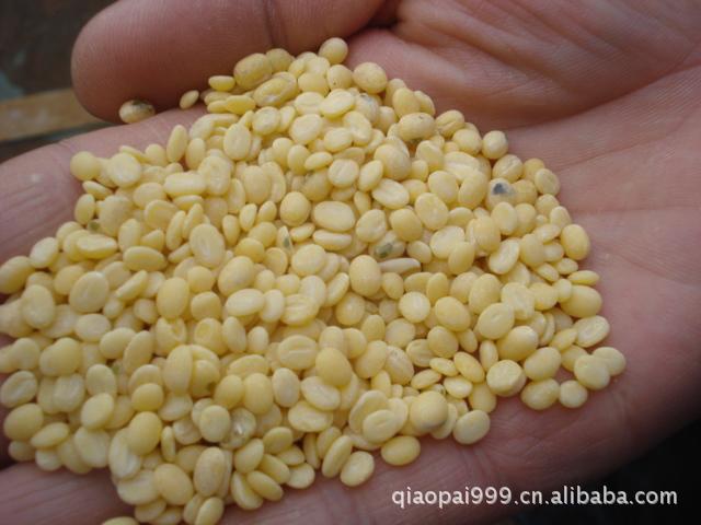 供應(yīng)加工黑豆去皮機(jī)