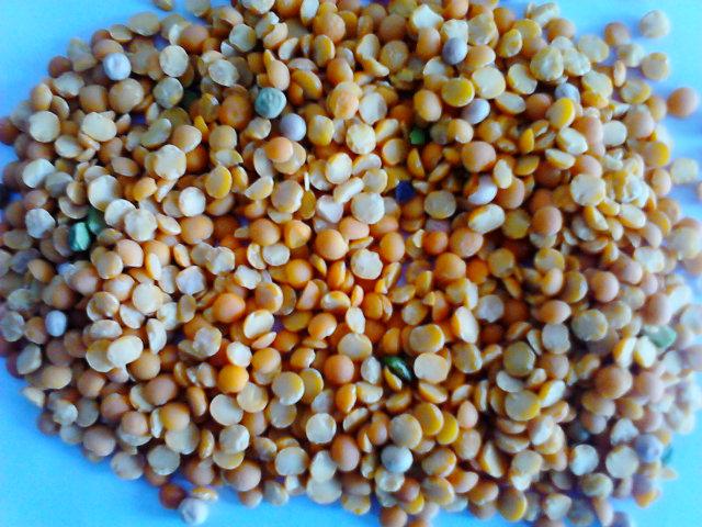 供應(yīng)加工黑豆去皮機(jī)