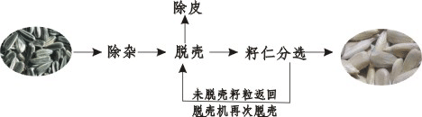 供應(yīng)1200型葵花籽剝殼分選機(jī)