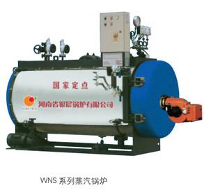供應(yīng)巴州庫爾勒WNS系列蒸汽鍋爐