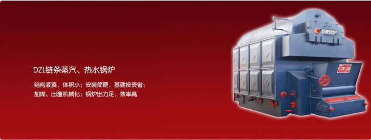 DZL型蒸汽鍋爐圖片/DZL型蒸汽鍋爐樣板圖 (2)