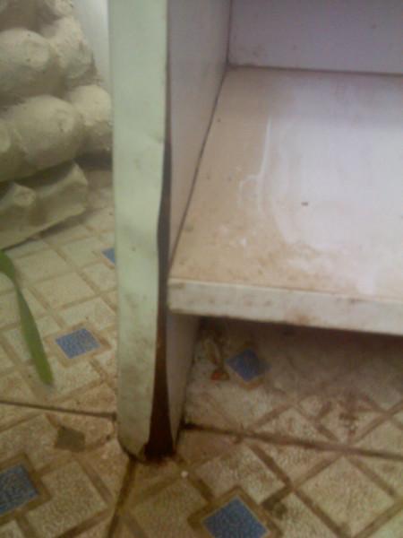 河南哪家多層實(shí)木櫥柜做的好圖片