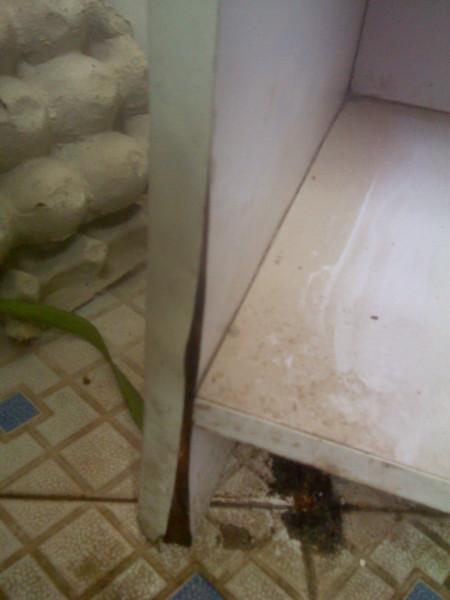 供應(yīng)河南多層實(shí)木櫥柜